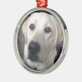 White Lab Metalen Ornament (Links)