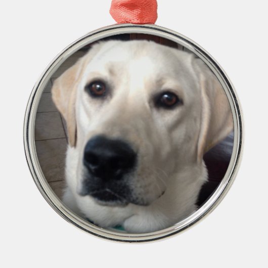 White Lab Metalen Ornament (Voorkant)