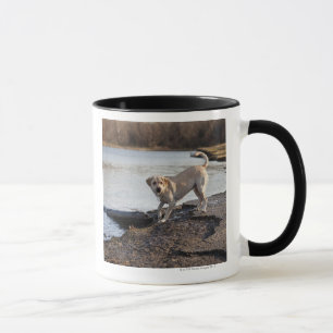 White Labrador bij een meer Mok