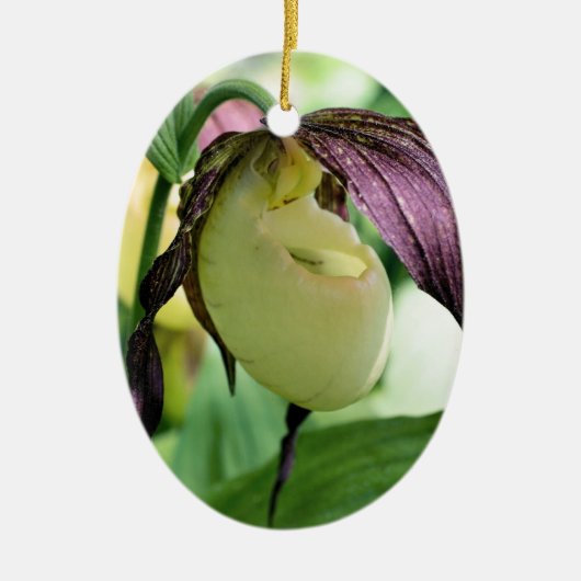White Lady Slipper Flower Ornament (Voorkant)