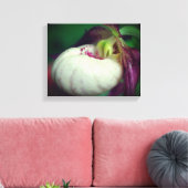 White lady Slipper Orchid Flower Close Canvas Afdruk (Insitu (Woonkamer))