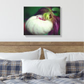 White lady Slipper Orchid Flower Close Canvas Afdruk (Insitu (Slaapkamer))