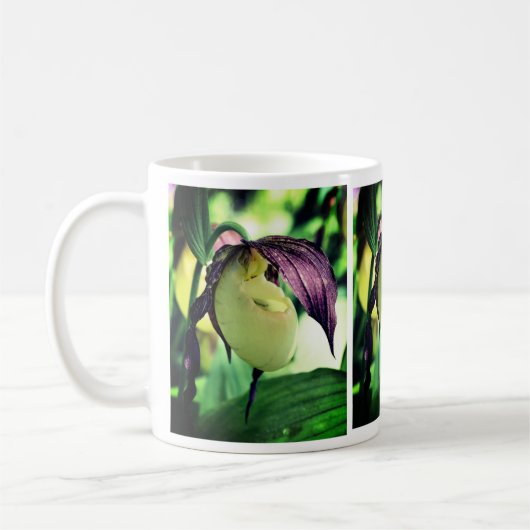 White Lady Slipper Orchid Flower Koffiemok (Links)