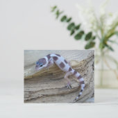White Leopard Gecko Briefkaart (Staand voorkant)