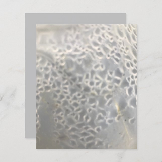 White Light Grey Bubbles Web Scrapbook Paper (Voorkant / Achterkant)