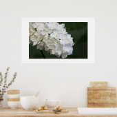 White Lilacs Poster (Keuken)