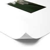 White Lilacs Poster (Hoek)