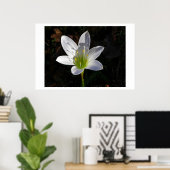 White Lilly Poster (Thuiskantoor)