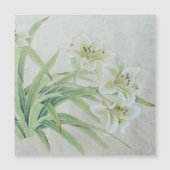 White Lily (Voorkant)