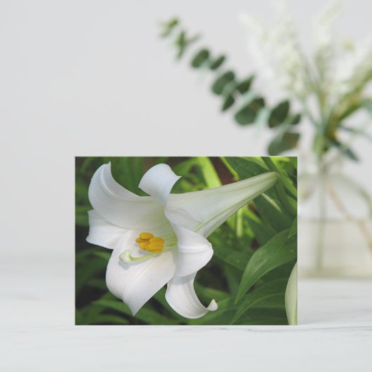 White Lily Briefkaart (Staand voorkant)