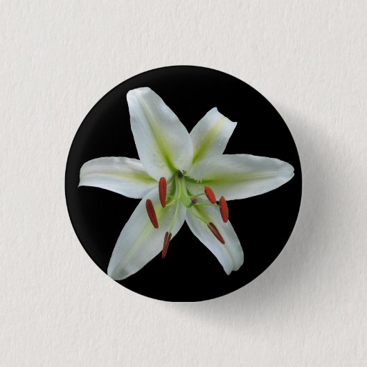 White Lily Button (Voorkant)