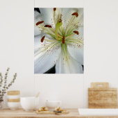 White Lily Close Poster (Keuken)