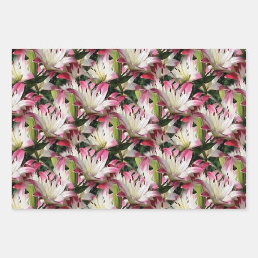 White Lily Flower Pattern Natuur Inpakpapier Vel (Voorkant)