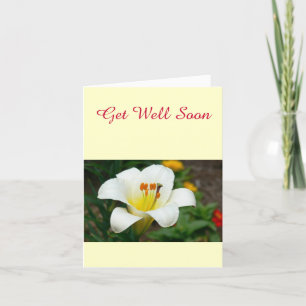White Lily Kaart