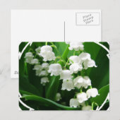 White Lily of the Valley Briefkaart (Voorkant / Achterkant)