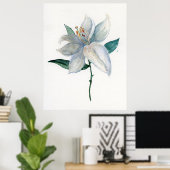 White Lily Poster (Thuiskantoor)