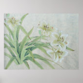 White Lily Poster (Voorkant)
