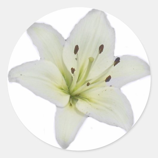 White Lily Ronde Sticker (Voorkant)