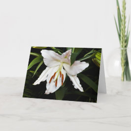 White Lily Sympathy Card Kaart