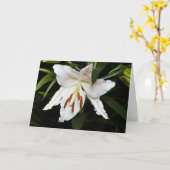 White Lily Sympathy Card Kaart (Gele Bloem)