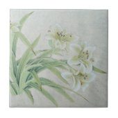 White Lily Tegeltje (Voorkant)