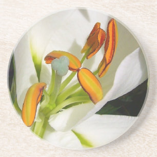 White Lily Zandsteen Onderzetter