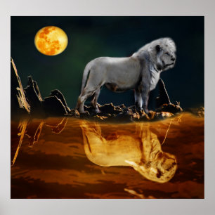 White Lion die de nacht bewaakt Poster