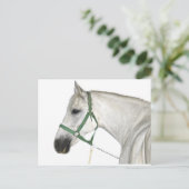 White Lipizzaner Horse Briefkaart (Staand voorkant)