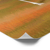 White Llama in Autumn Boerderij Pasture Poster (Hoek)