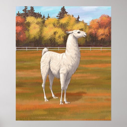 White Llama in Autumn Boerderij Pasture Poster (Voorkant)