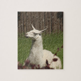 White Llama Legpuzzel