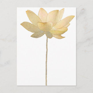 White Lotus Briefkaart