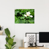 White Lotus Flower Canvas Print (Thuiskantoor)