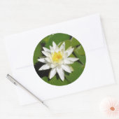 White Lotus Sticker (Envelop)