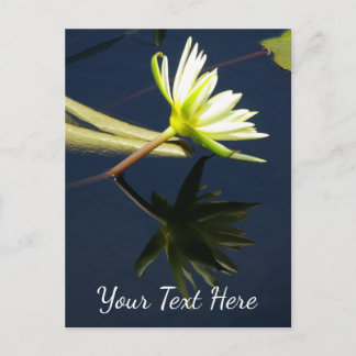 White Lotus Waterlily Briefkaart