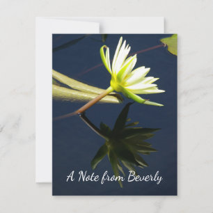 White Lotus Waterlily Notitiekaartje