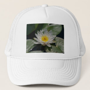 White Lotus Waterlily Pet