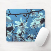 White Magnolia Bloom Blue Sky Muismat (Met muis)