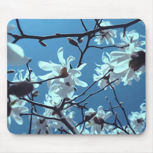 White Magnolia Bloom Blue Sky Muismat (Voorkant)