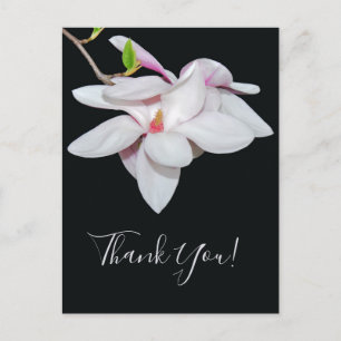 White Magnolia Briefkaart