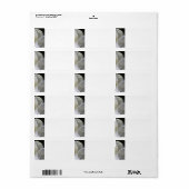 White Magnolia - Étiquettes de adresse Mariage (Feuille entière)