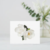 White Magnolia Flower Magnolias Floral Flowers Briefkaart (Staand voorkant)