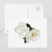 White Magnolia Flower Magnolias Floral Flowers Briefkaart (Voorkant / Achterkant)