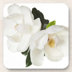 White Magnolia Flower Magnolias Floral Flowers Drankjes Onderzetter