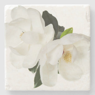 White Magnolia Flower Magnolias Floral Flowers Stenen Onderzetter