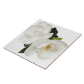 White Magnolia Flower Magnolias Floral Flowers Tegeltje (Zijkant)