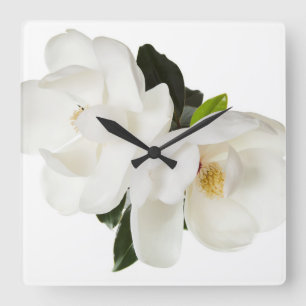 White Magnolia Flower Magnolias Floral Flowers Vierkante Klok