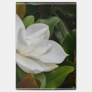 White Magnolia Post-it® Notes