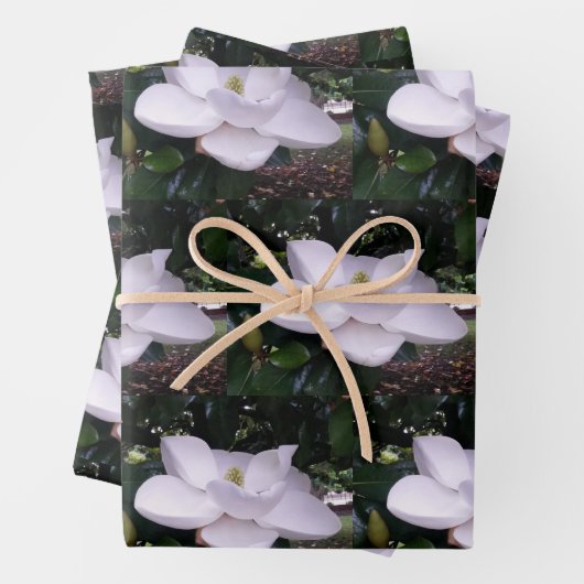 White Magnolia Wrapping Paper Flat Sheet Set van 3 (In situ)