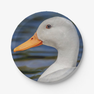 White Mallard Duck Papieren Bordje